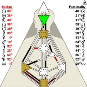 Evelyn's Chart