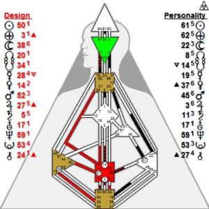 Human Design Celebrity Charts