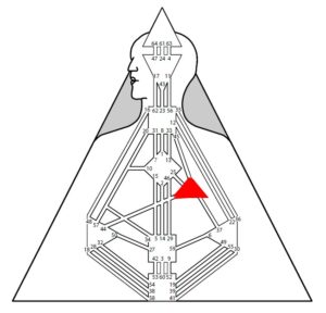 Figure 41 - Will Center