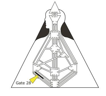 28 Gate of the Game Player 