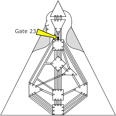 Series: Voices of the Throat #3 - Gate 23 “I Know” - Human Design for  Success