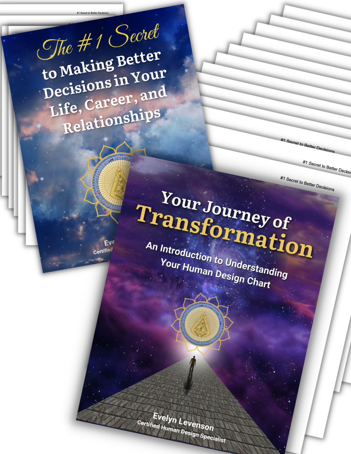 Decode Your Human Design Chart vrogue.co